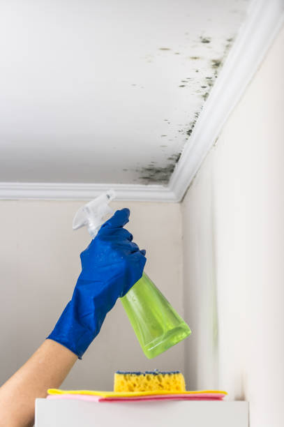 Garland, NC Mold Remediation Company